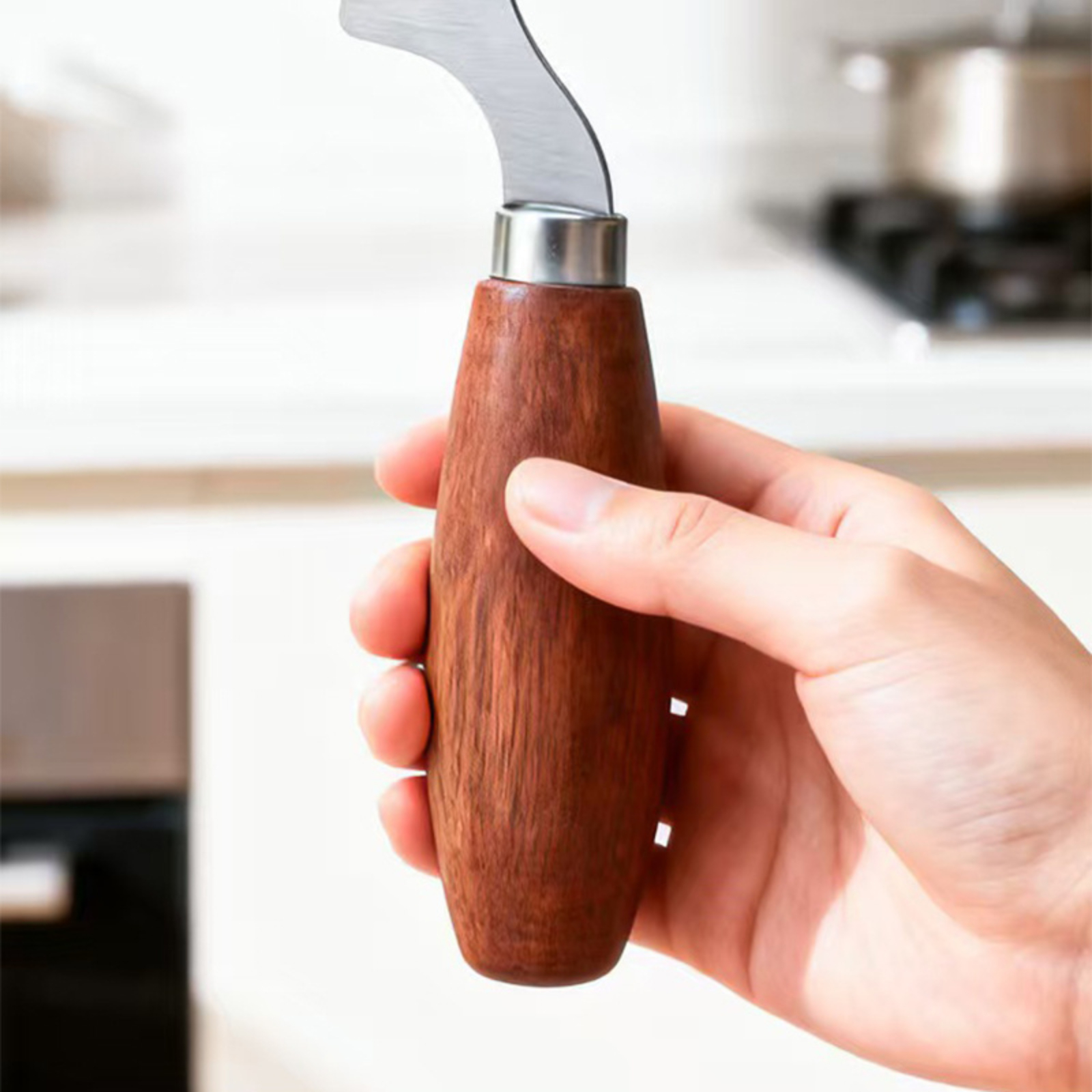 Stainless Steel Green Onion Sl - Kitchen Gadgets Vegetable Chopper 评论和价格
